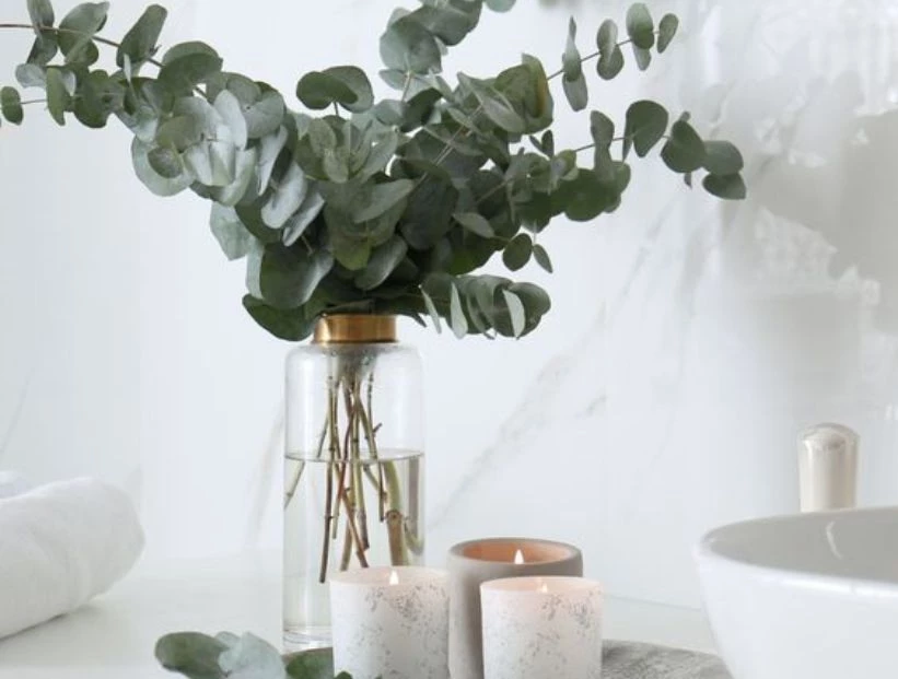 Feng Shui: dónde poner ramos de eucalipto en casa para atraer la buena suerte