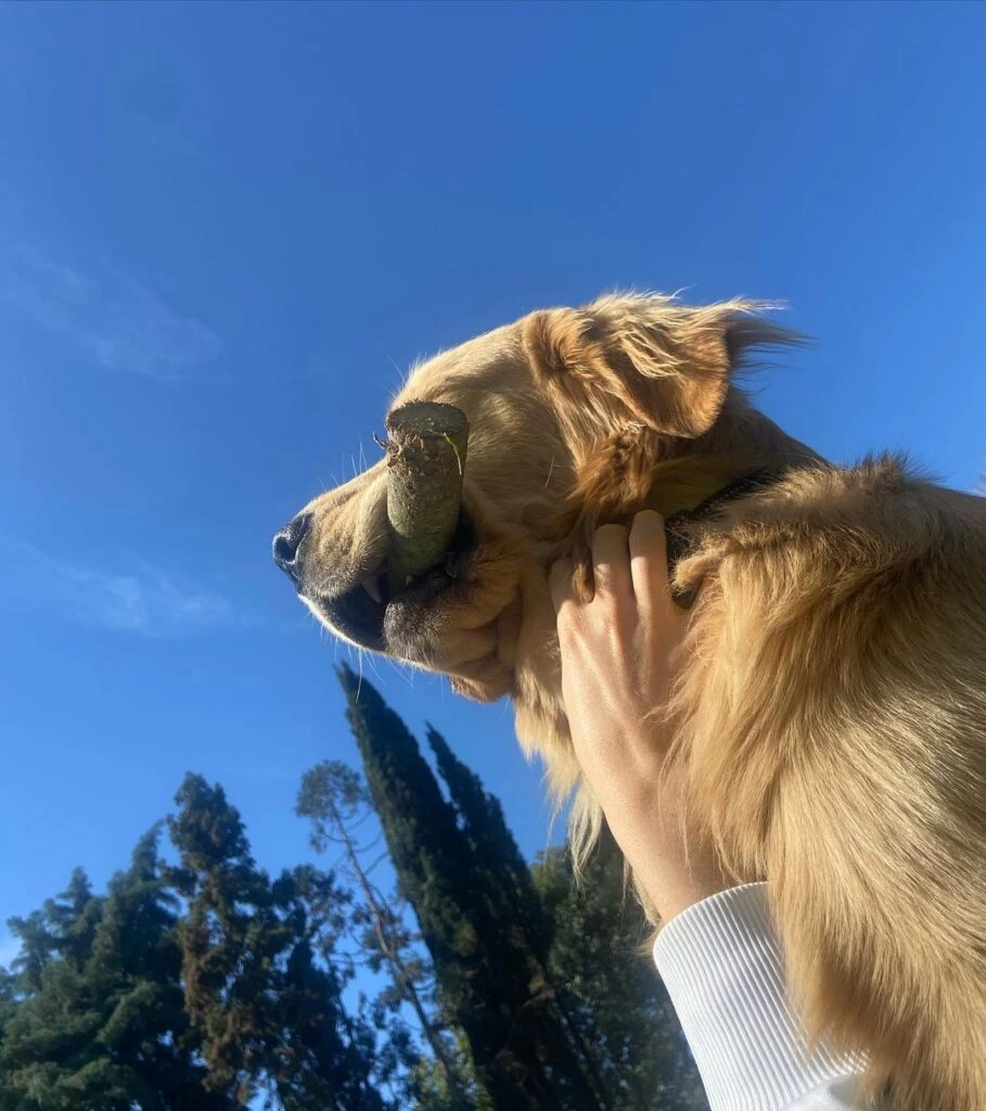 El ítem preferido de Ámbar de Benedictis para el fin de semana