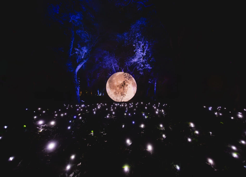 Luna llena en Capricornio. Foto: Pinterest.