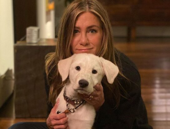 Así es la espectacular mansión de Jennifer Aniston en Bel Air