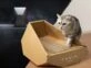 Así es el nuevo lanzamiento de Tesla: una casa de cartón para gatos inspirada en el diseño de una camioneta