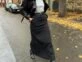 falda negra con campera