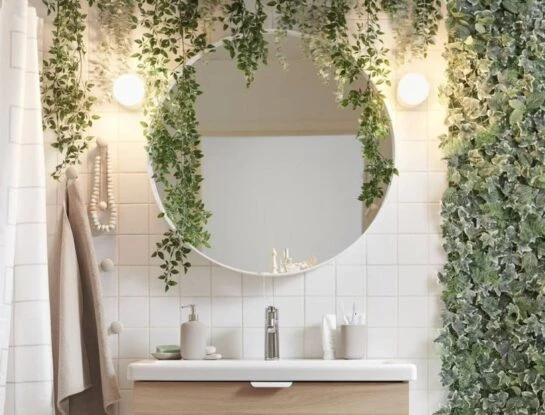 Las mejores plantas colgantes para decorar el baño