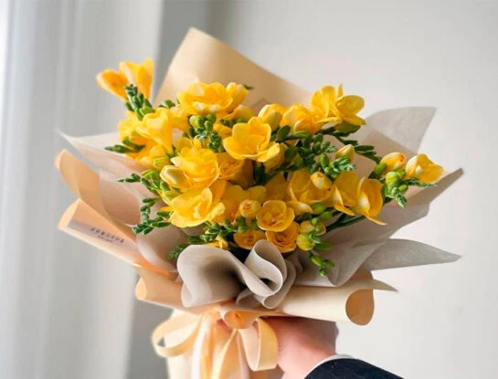 Por qué se regalan flores amarillas los 21 de setiembre: la tendencia que se viralizó con Floricienta