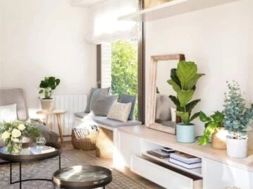 Feng Shui: 4 plantas que deberías sacar de tu casa para evitar las malas energías