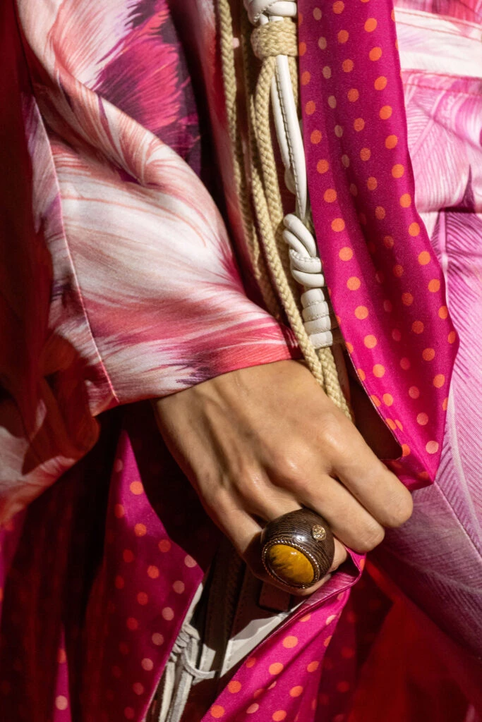 Desfile Roberto Cavalli