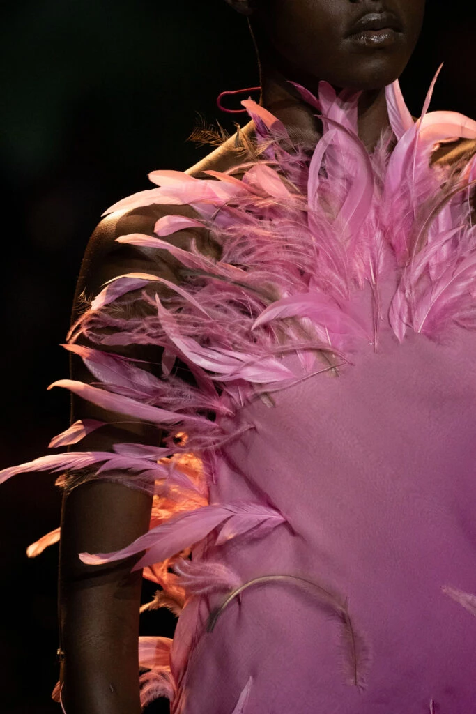 Desfile Roberto Cavalli