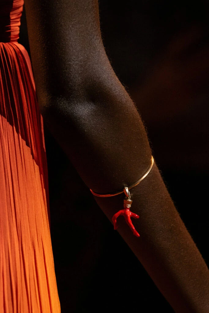 Desfile Roberto Cavalli