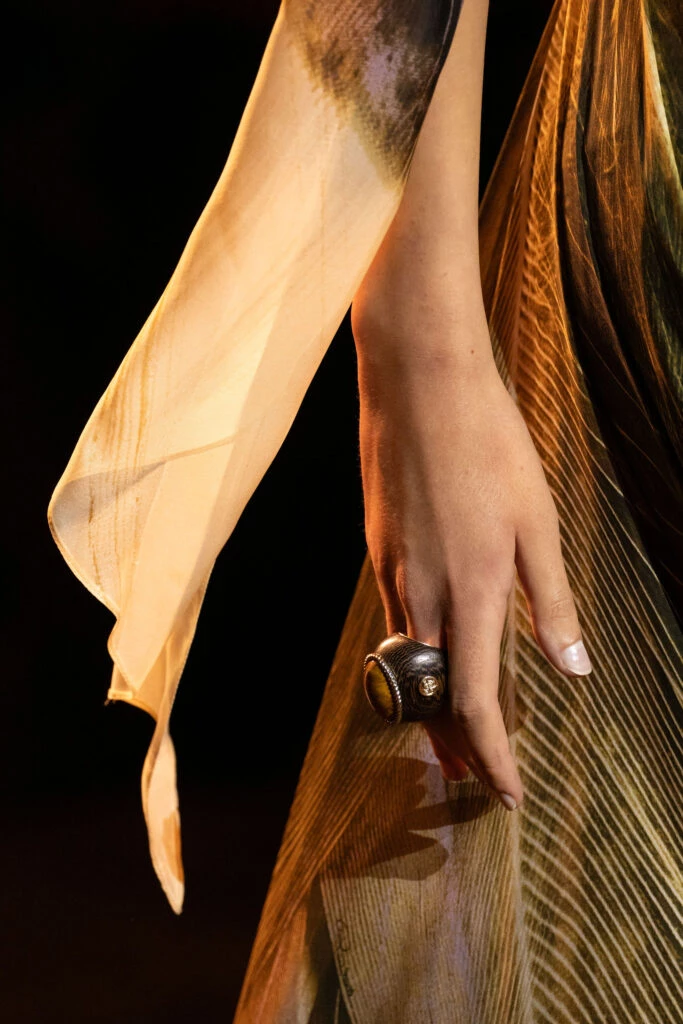 Desfile Roberto Cavalli