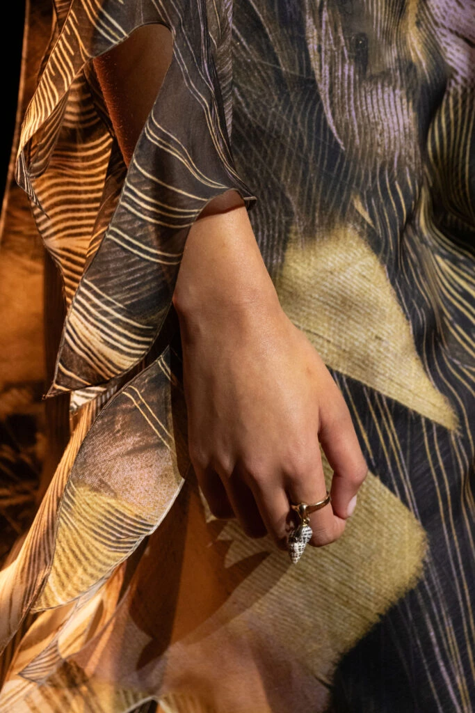 Desfile Roberto Cavalli