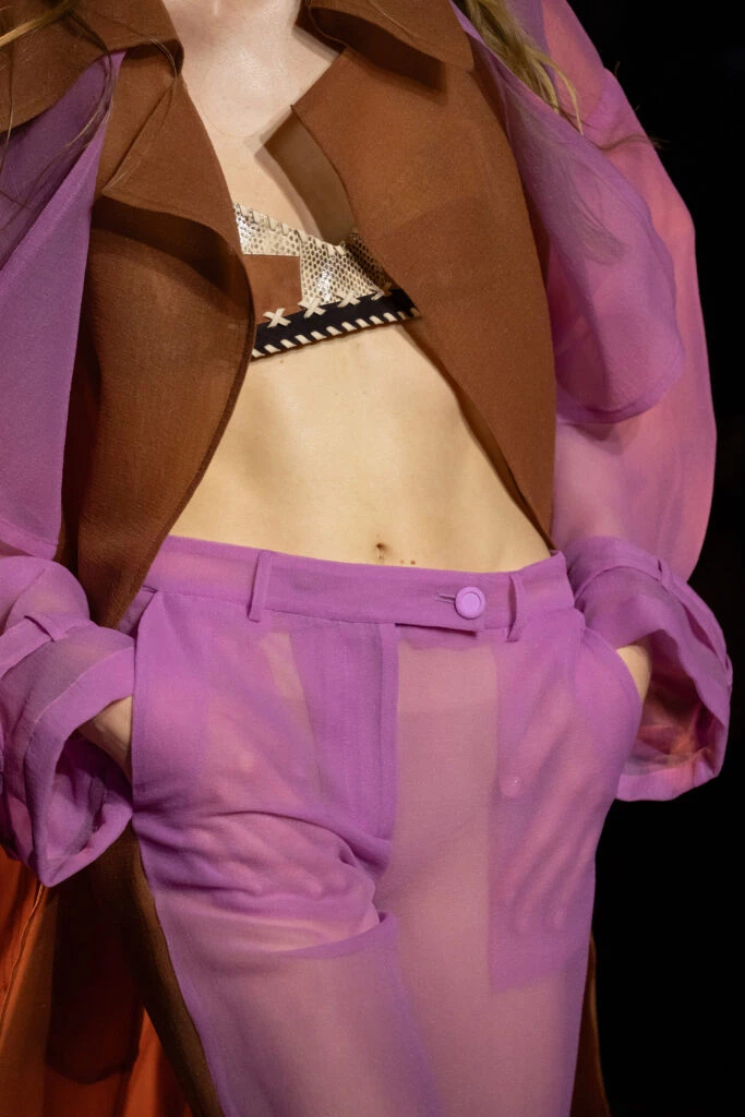 Desfile Roberto Cavalli