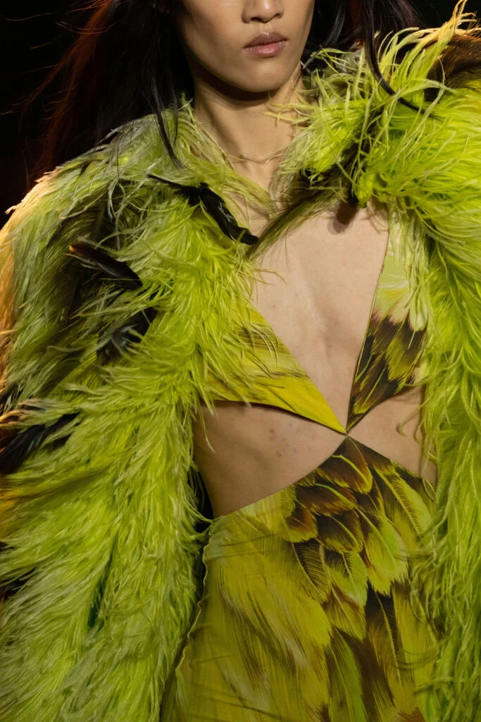 Desfile Roberto Cavalli