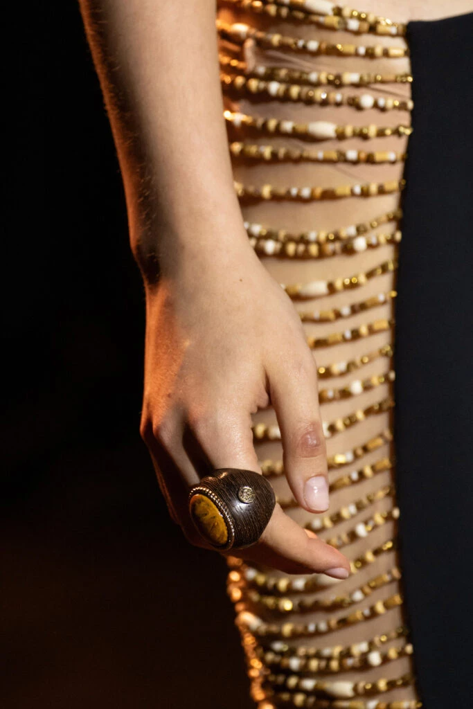 Desfile Roberto Cavalli