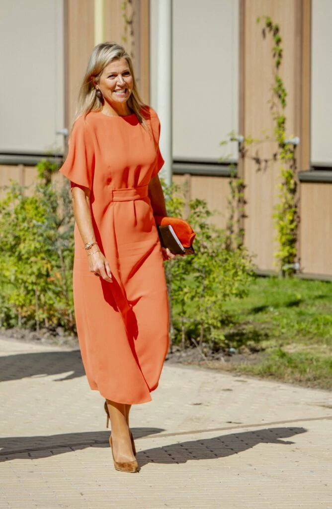 look mnonocolor de maxima