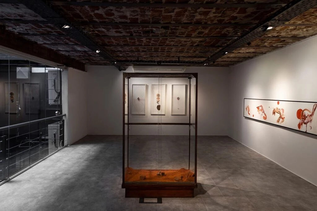 Martina Servio Olavide