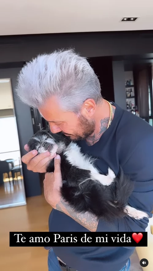 Marcelo TInelli despidió a su mascota, Paris