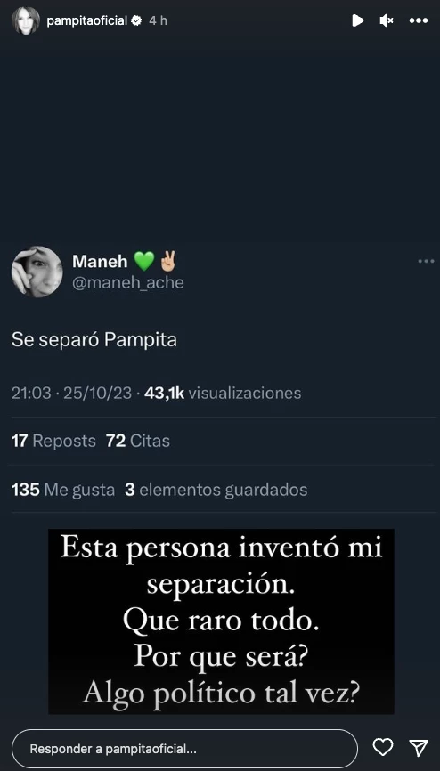 Pampita y su descargo en redes