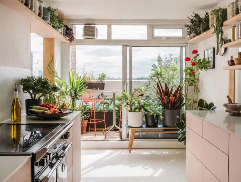 Feng Shui: la suculenta que deberías tener en tu cocina para atraer la buena suerte