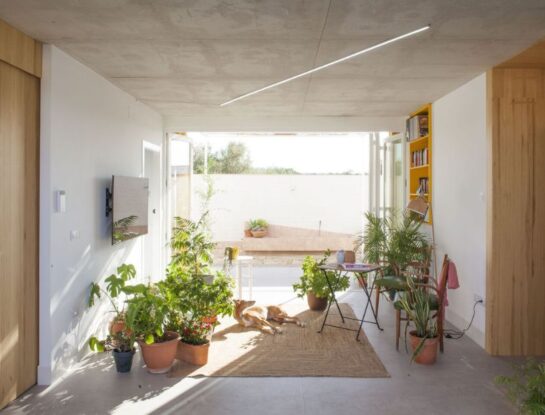 Divina: así se diseñó una casa 'pet friendly' con estilo y funcionalidad