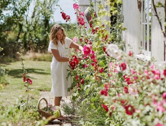 Manual de Jardinería: cómo podar un rosal floribundo y prolongar su floración