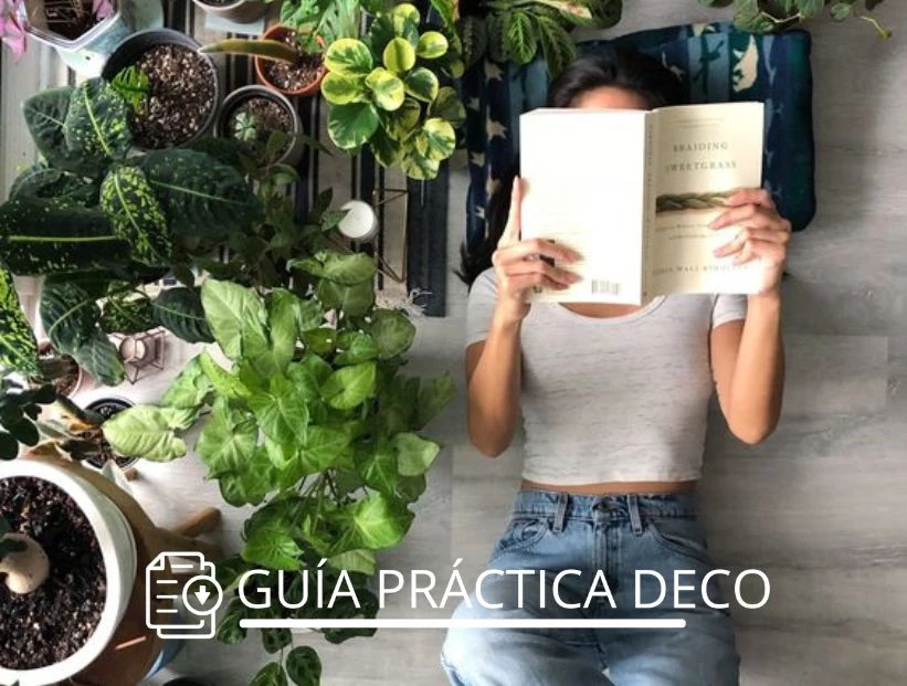 Las mejores ideas para sumar plantas y refrescar tu casa en verano