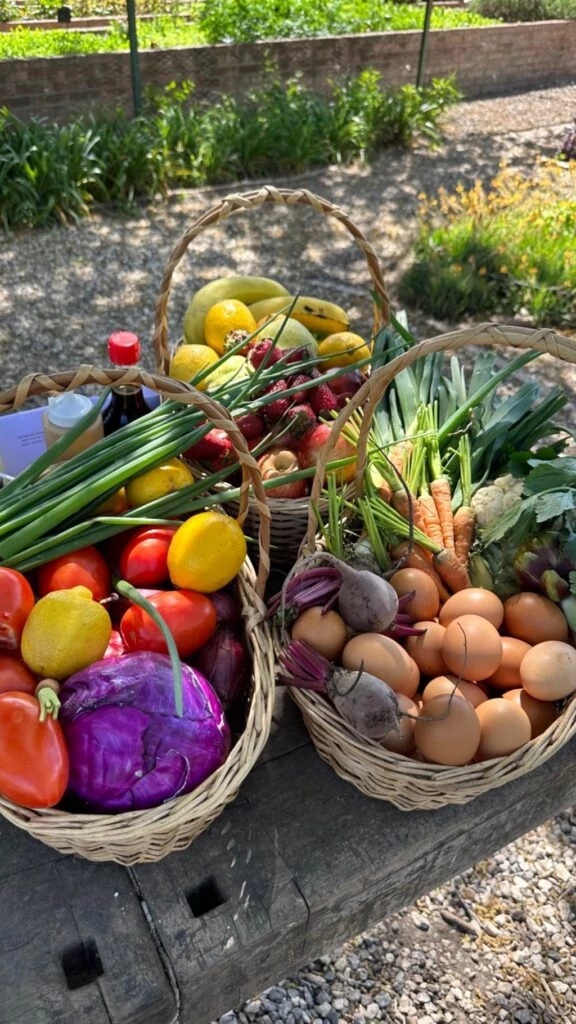 El día de campo de Juliana Awada