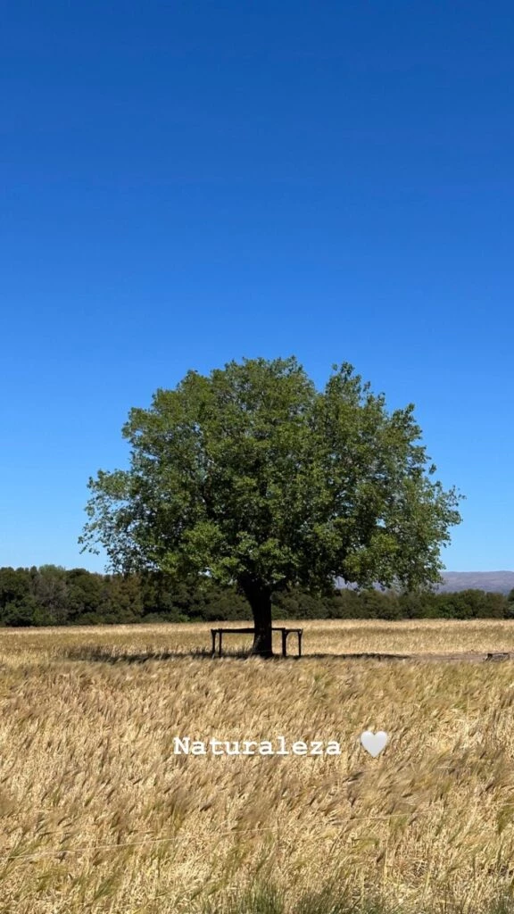 El día de campo que disfrutó Juliana Awada