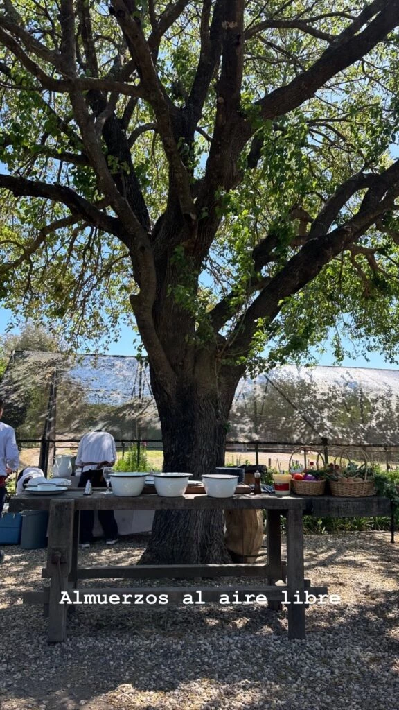 Juliana Awada compartió su día de campo