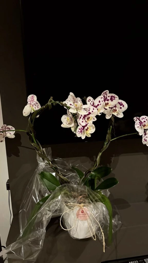 Nicole Neumann cumple 42 años: los saludos de Allegra Cubero, el gesto de Manu Urcera y todos los regalos