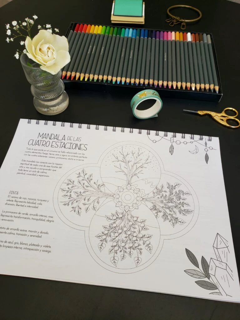 Mandalas Organizador