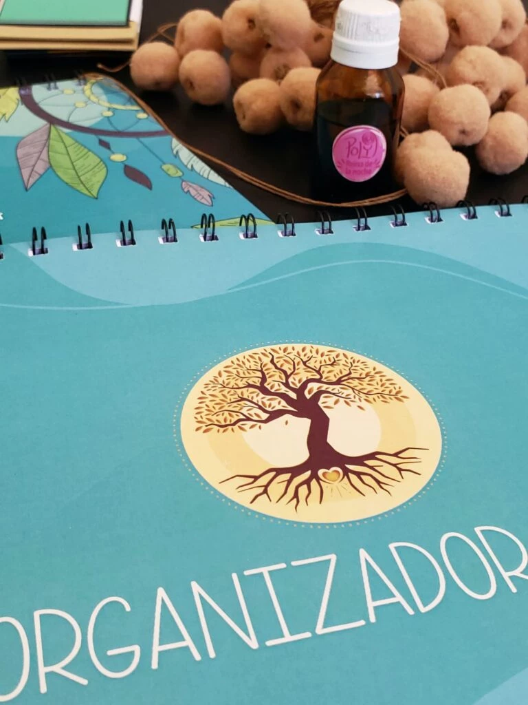 Mandalas Organizador