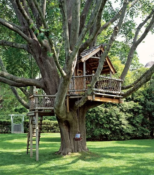 Casa en el árbol