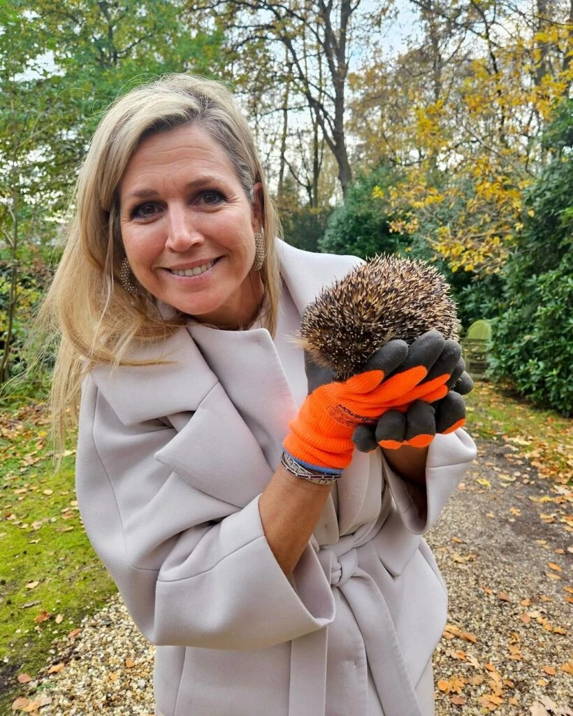 Máxima adoptó tres erizos.