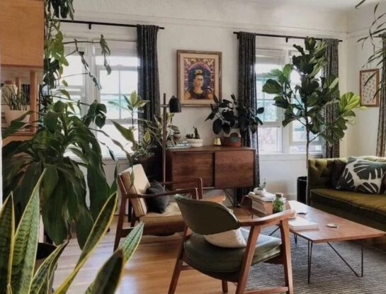 9 consejos básicos para cuidar tus plantas de interior