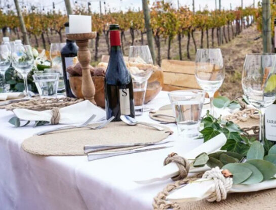 Así es la espectacular bodega neuquina donde Nicole Neumann y Manu Urcera van a celebrar su casamiento por civil