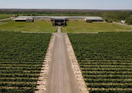 Vista de la bodega donde se van a casar Nicole y Urcera