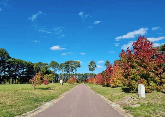 Monte Chico, en Exaltación de la Cruz