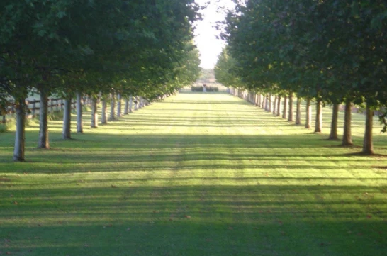 Monte Chico, en Exaltación de la Cruz