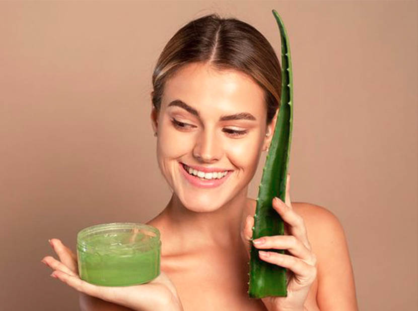 Aloe vera para el pelo: 5 razones para adoptarlo - Revista Para Ti