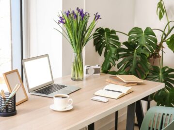 Feng Shui: la planta que deberías tener en tu escritorio para atraer la buena suerte