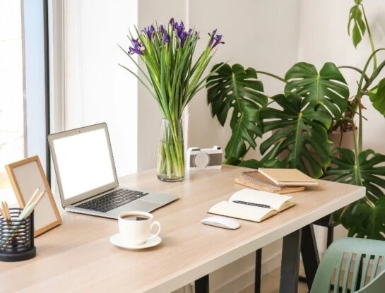 Feng Shui: la planta que deberías tener en tu escritorio para atraer la buena suerte