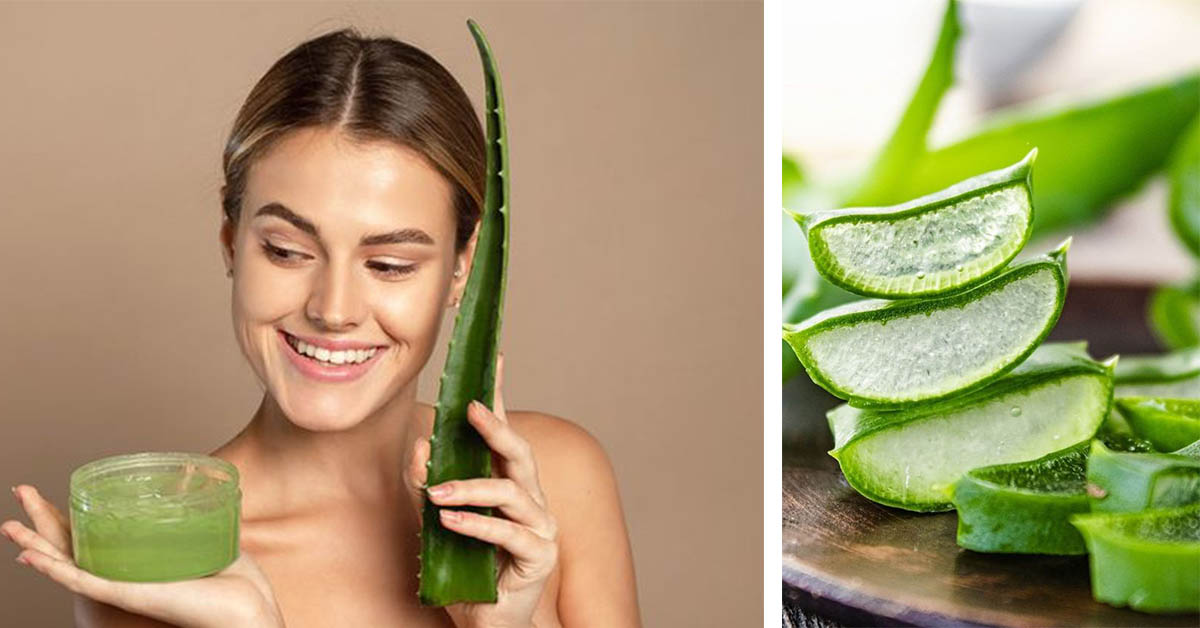aloe vera shampoo for hair Aloe Vera & Castor Oil Shampoo – Spanish Garden main image 0