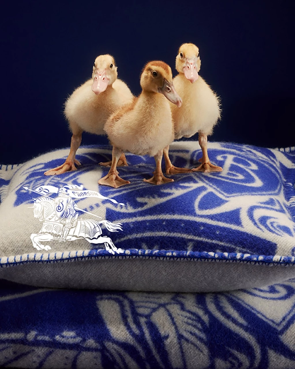 Burberry presentó su campaña navideña 2023.