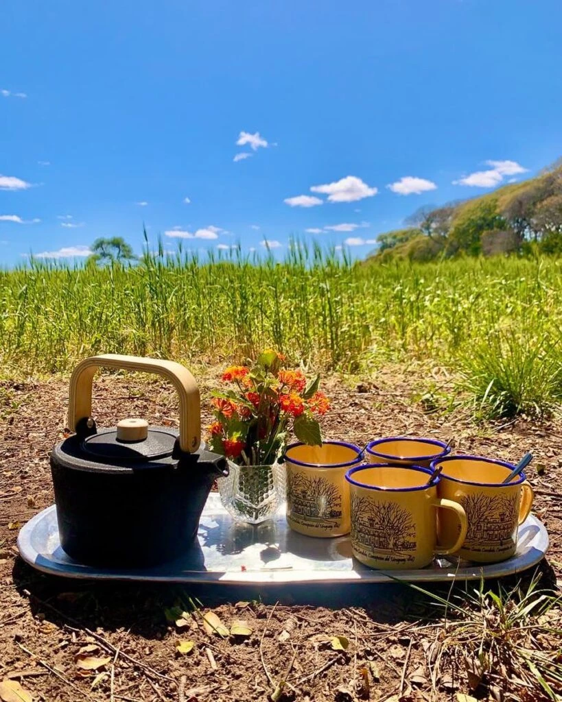 Gastronomía en la estancia. Foto: IG.