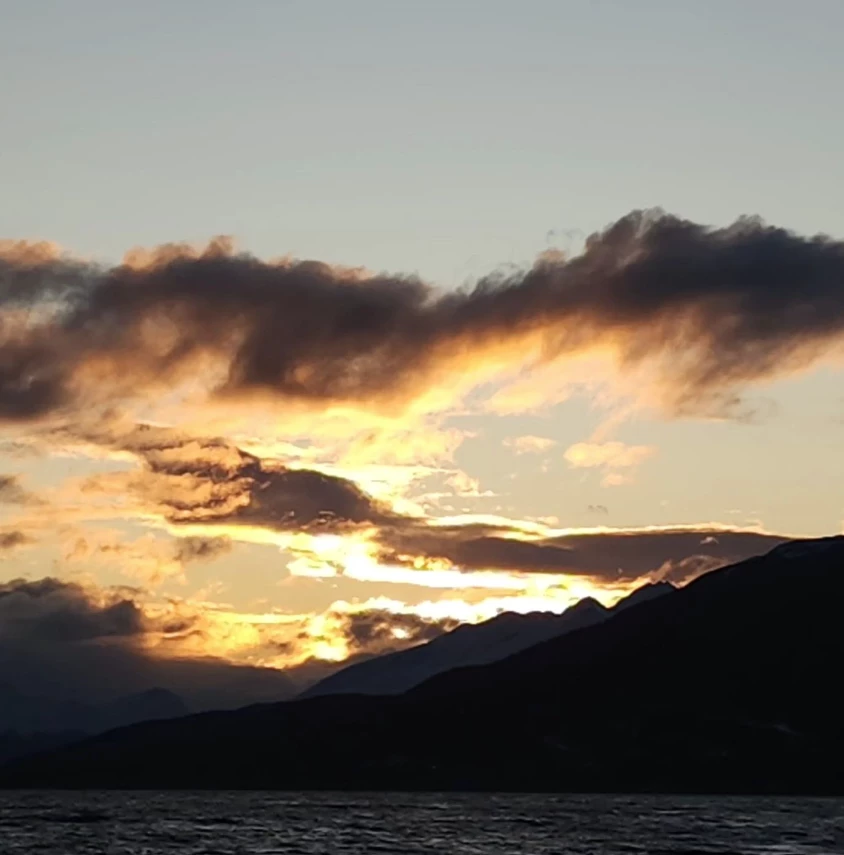 El posteo de Juana Viale donde Agustín Goldenhon puso "me gusta".