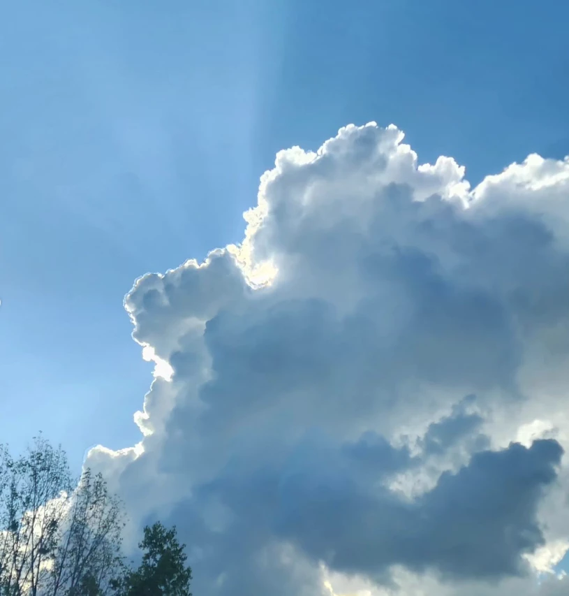 El posteo de Juana Viale donde Agustín Goldenhon puso "me gusta".