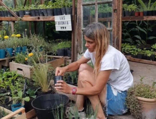 Manual de Jardinería: tips para cosechar semillas, by Ana de Las Pavonias