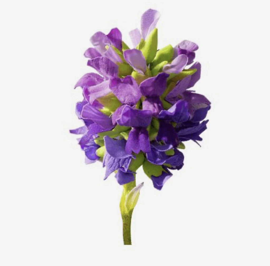 Estos son los beneficios del Bakuchiol. Foto: Pinterest.