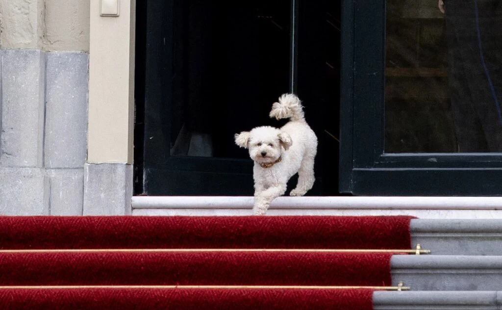 Máxima, Amalia, Alexia y Ariane saben cómo "cancherear" un tapado y se consagran las royal más trendy