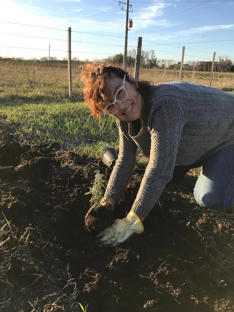 La puerta amarilla de Ana Tosca